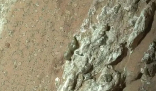 NASA’dan Tarihi Açıklama: Mars’ta Mikrobiyal Yaşam İzine Rastlandı