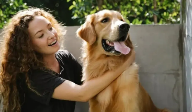 Köpek Sahipleri, Kedi Sahiplerinden Daha Mutlu