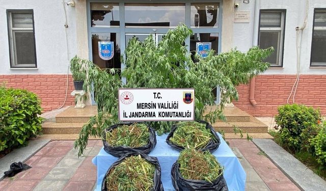 Mersin’de Jandarma Uyuşturucuya Geçit Vermedi