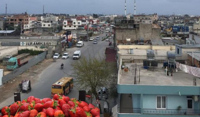 Çilek Mahallesi İsmi Nereden Geliyor?