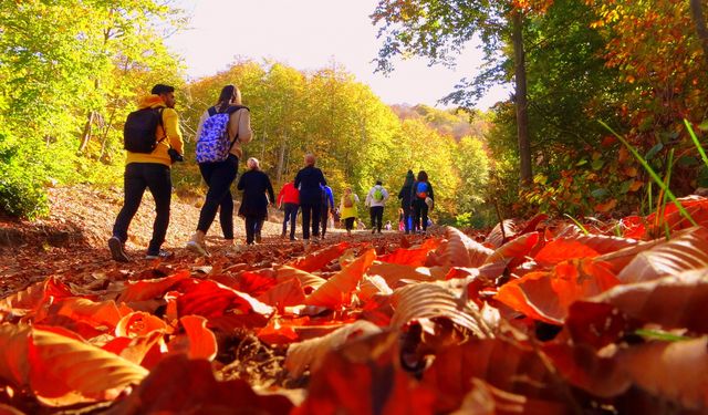 MDK’dan Cumhuriyet Bayramı’na özel doğa yürüyüşü