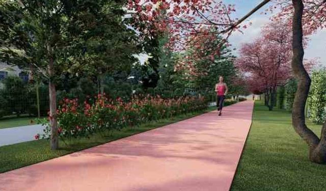 Geriye Yürümek Neden Bu Kadar Faydalı?