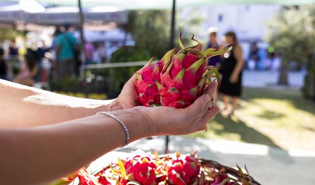 Anamur Tarım ve Tropikal Ürünler Fuarı Başlıyor