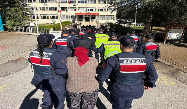Koyun Otlatıp Kablo Çaldılar: 9 Tutuklama