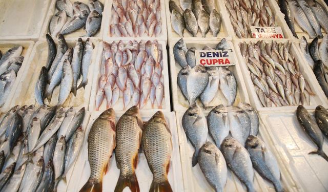 Balık Tezgahları Balıkla Doldu, Fiyatlar Ucuzladı