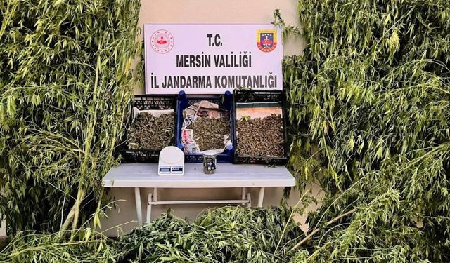 Mersin'de Uyuşturucu Operasyonu