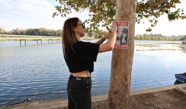 Kayıp Kedisini Bulana 100 Bin Lira Ödül Verecek