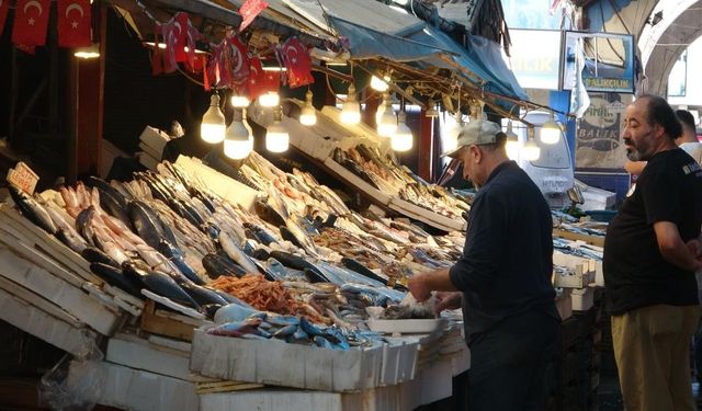 Balıkta Bolluk Yaşanıyor: Mersinli Balıkçılar Mutlu