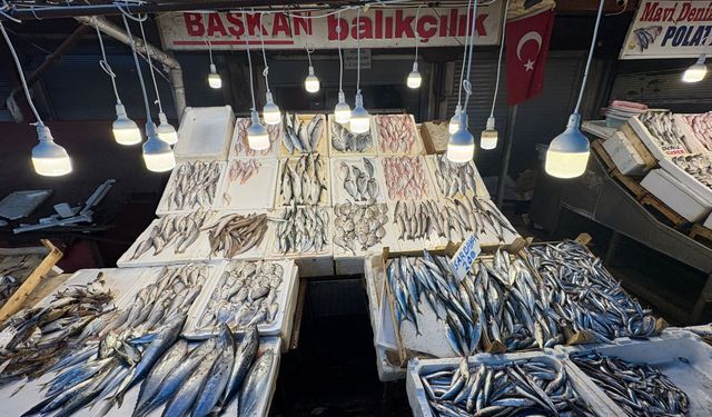 Havalar İyi Gitti Balık Fiyatları Artmadı