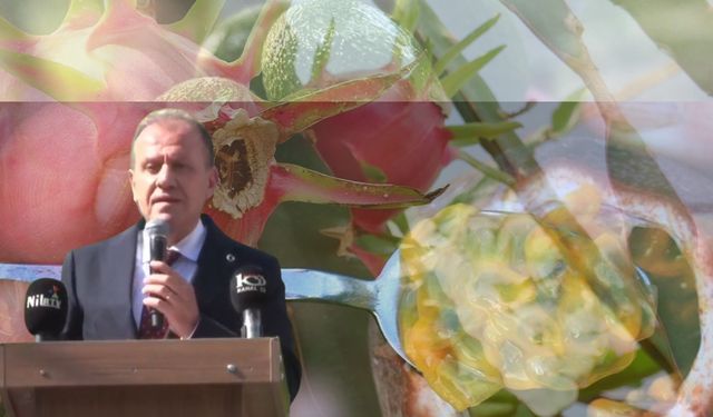 Başkan Vahap Seçer: “Tarımı Küçümsemeyin, Sosyolojik Bir Meseledir”