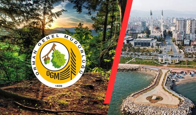 Mülakat Yok, Sadece KPSS Puanı: Mersin'de Şoför Aranıyor!
