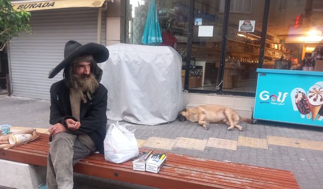 Mersin’de Can Dostlar Özgürce Yaşıyor