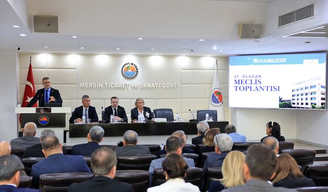 SEGE 2024’e Göre Mersin 12 Basamak Yükseldi: Türkiye’nin En Gelişmiş 13’üncü İli Oldu
