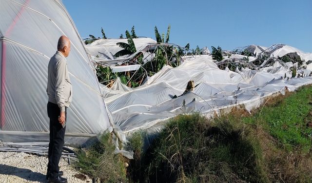 Manavgat'ta Hortum, Seralara Zarar Verdi
