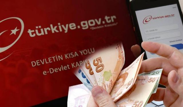 e-Devlet’ten meslek kodu uyarısı: Yanlış kod geç emekliliğe yol açabilir