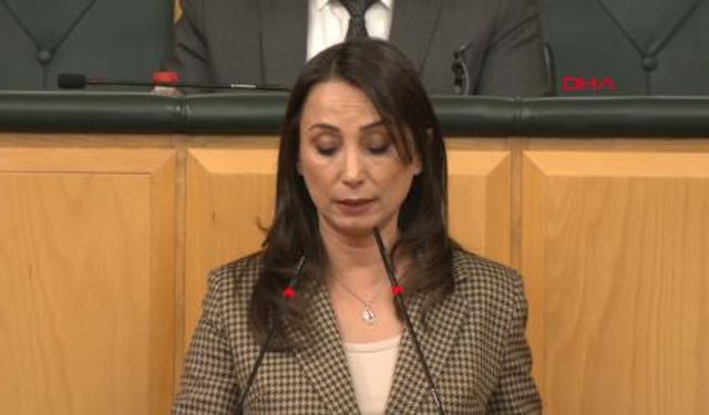 DEM Parti'li Hatimoğulları: Komisyonun Öcalan ile görüşmesi süreci daha da hızlandıracak