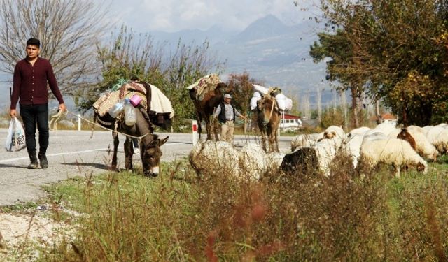 Mersin Ağzına Özgü Yöresel Kelimeler Sözlüğü