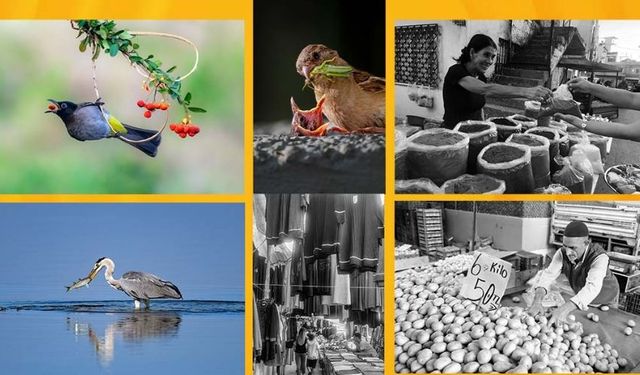 Turan Sezer'in “Kadrajımdan Kuşlar” ve “Salı Pazarı” Sergileri 20 Kasım’da