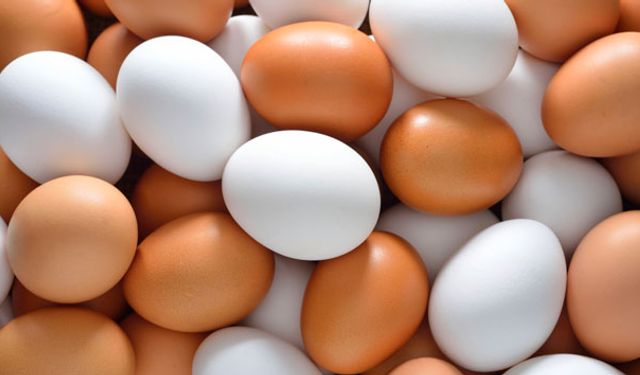 Sarı mı Beyaz mı Derken Asıl Sağlıklısı Meğer Bu Yumurtaymış!