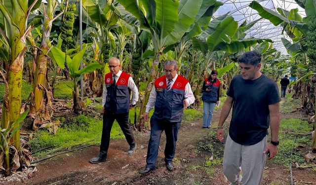 Mersin Tarım Müdürlerinden Muz Üreticisine Ziyaret