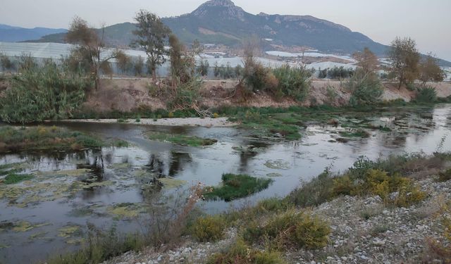 Dragon Çayı Can Çekişiyor: Çevrecilerden Baraj ve HES'lere Sert Tepki