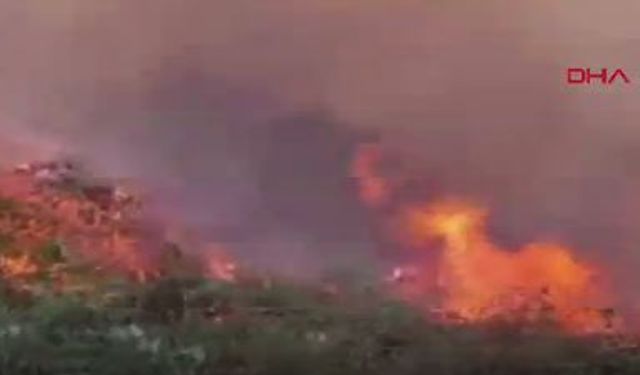 Artvin Hopa’da Bahçe Yangını Ormana Sıçradı, Müdahale Sürüyor