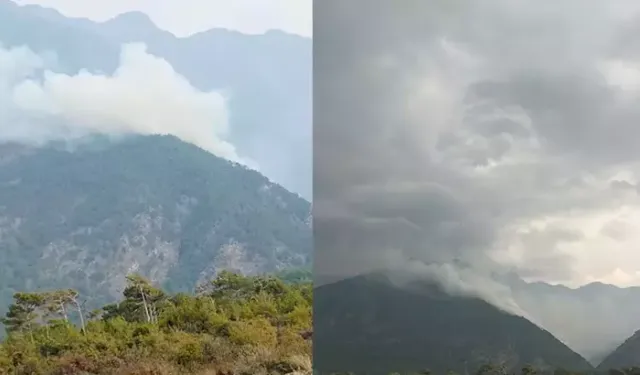 Hatay’da Yıldırım Orman Yangınına Yol Açtı