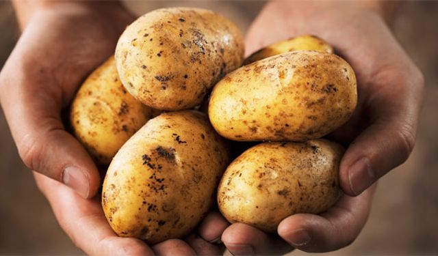 Kasım Ayında Bu Sebzeyi Yerken Dikkat Edin!