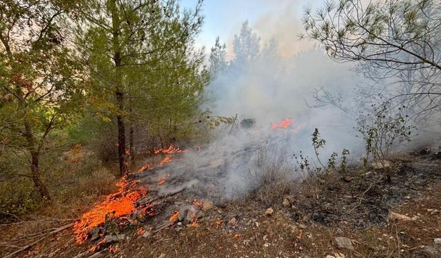Bozyazı’da Orman Yangını Kontrol Altına Alındı