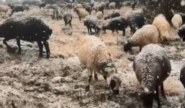 Mersin’in Yüksek Kesimlerinde Mevsimin İlk Karı Yağdı