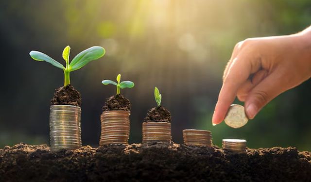 Kasım'da Bunu Yapan 80 Yıl Boyunca Para Kazanıyor!