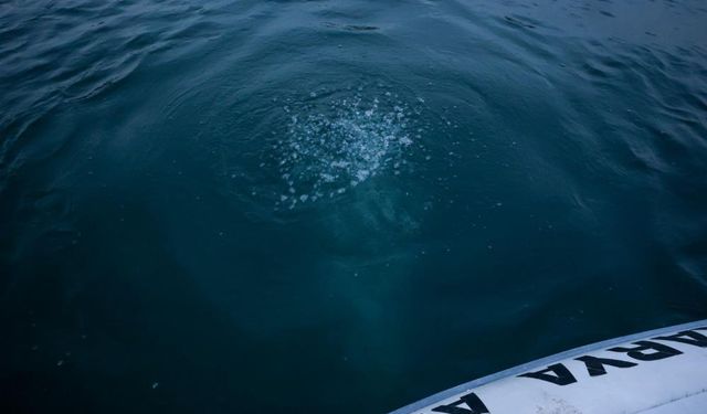 Göl Çekiliyor, Kabarcıklar Fokurduyor: Vatandaşlar Tedirgin