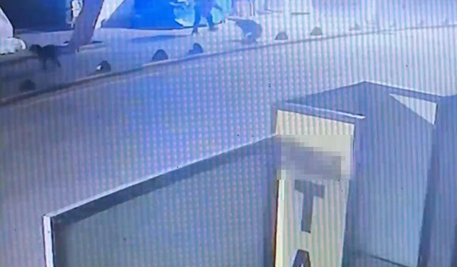 Emekli astsubay, sokak köpeğini tabancayla vurdu