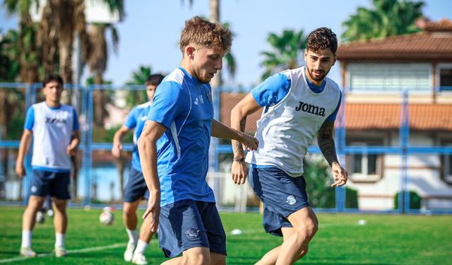 Adana Demirspor'a Puan Silme Cezası