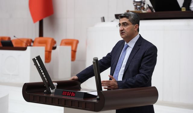 Ekmen: “Zeytinyağı Üretiminde Yüzde 35 Oranında Düşüş Yaşandı”