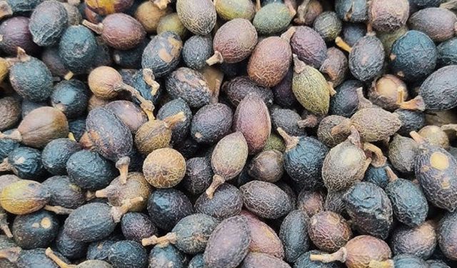 Kuraklık vurunca fiyatı arttı! Değeri neredeyse altını geçti