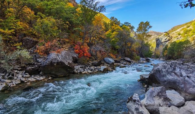 Munzur Vadisi’nde HES ve baraj projesine yargı freni