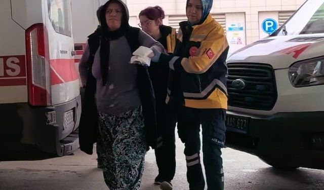 Merdaneli ütüye sıkışan elleri yandı