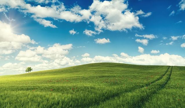 Mersin'de arabadan bile ucuza arsa satılacak: İşte ucuzluğunun sebebi