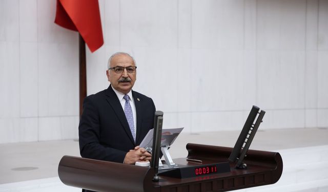 Talat Dinçer: “Hasat Sürerken Pazarlar İthal Ürünle Doldu"