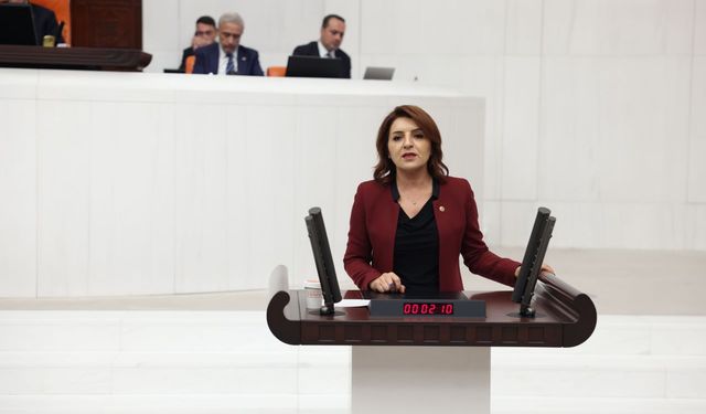 CHP’li Gülcan Kış: “Gençler Umut Yerine Pasaport Taşıyor”