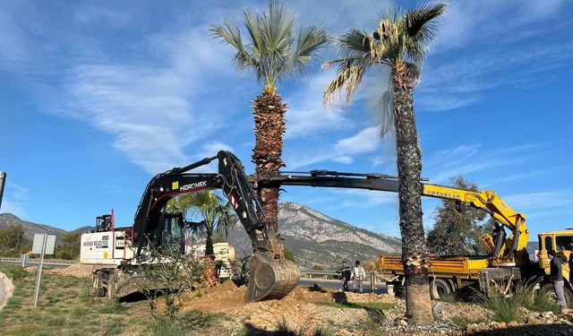 Anamur’da Yeşil Alanlar Yenileniyor