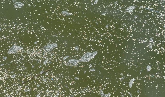 Mikroplastikler İnsan Vücudunu Kuşatıyor