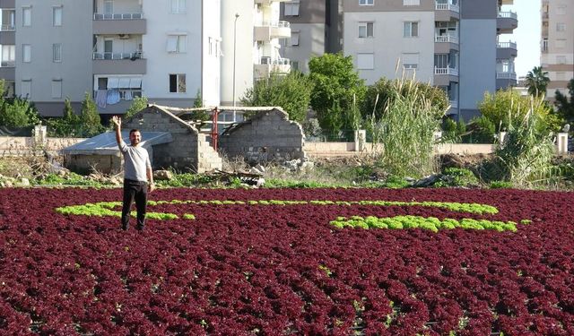 Marullarla Yapılan Türk Bayrağı Görenleri Hayran Bıraktı