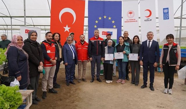 Adana’da Topraksız Marul Yetiştiriciliği