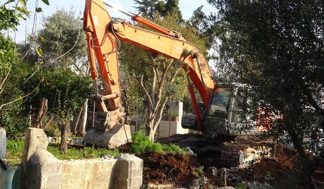 Toroslar Belediyesi’ne Tepki: Vatandaşlar Zeytin Ağaçlarının Kesilmesine Karşı
