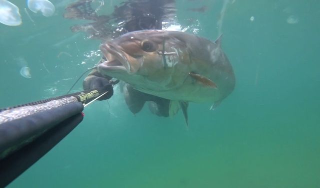 Mersin’de Zıpkıncılar Yeni Düzenlemeye Hazırlanıyor