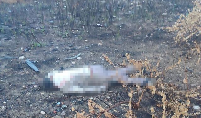 Mersin'de Kaza Yapan Araç Otoyolda, Sürücüsü 30 Metrelik Köprünün Altında Ölü Bulundu