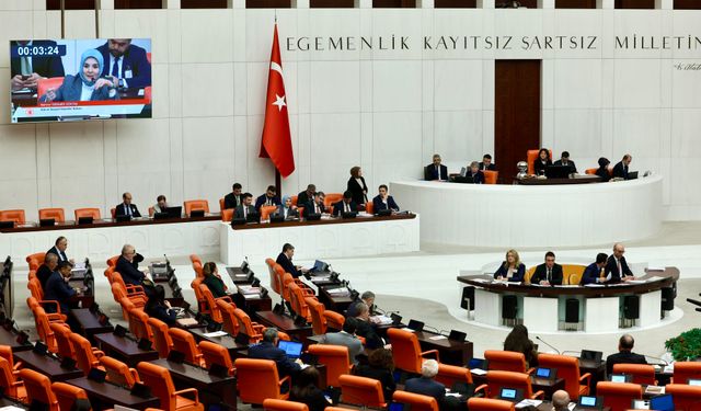 Bütçe Görüşmeleri Sürerken Genel Kurul'da 'Leyla Zana' Kınaması
