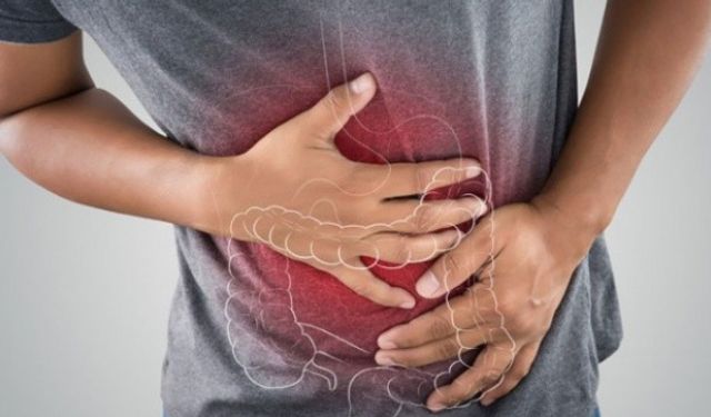 Bağırsak Florasındaki Dengesizlik Hastalıklara Zemin Hazırlıyor